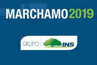 Consulta de Marchamo